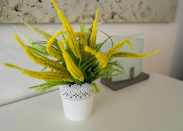 Sunwave * Władysławowo